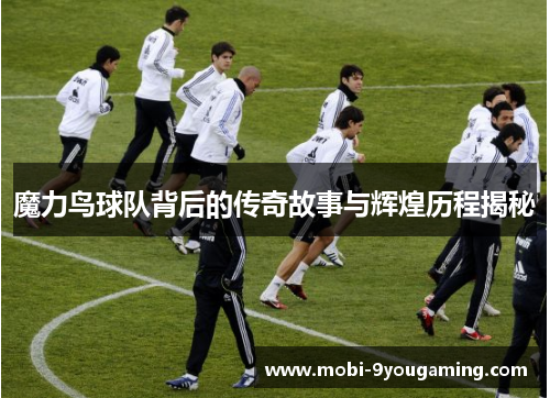 魔力鸟球队背后的传奇故事与辉煌历程揭秘 魔力鸟球队背后的传奇故事与辉煌历程揭秘